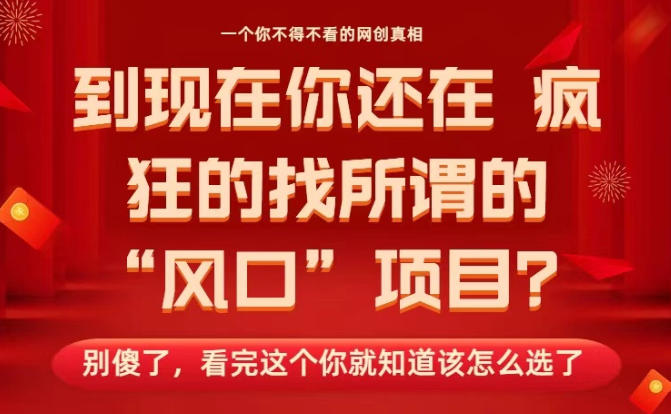 马上26年了，你还在找所谓的风口项目？别傻了，看完这个你全都懂了！【揭秘】-星云网创