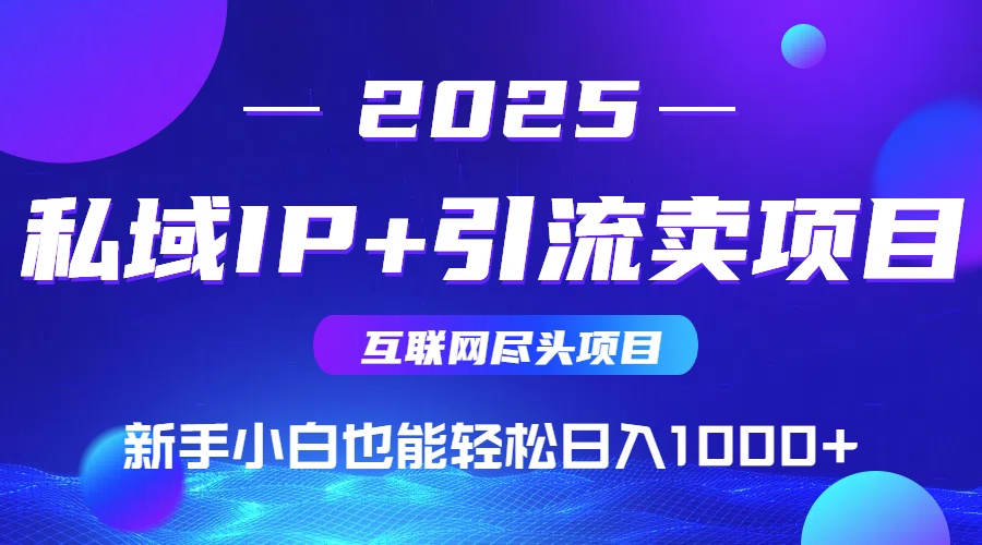 2025网创尽头项目，私域IP+引流，新手小白也能在家日入1000+-星云网创