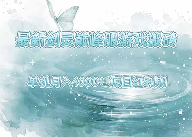 最新剑灵巅峰服游戏搬砖，项目红利期，单机稳定4000+操作简单好上手-星云网创