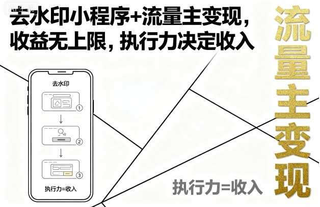去水印小程序+流量主变现，收益无上限，执行力决定收入-星云网创