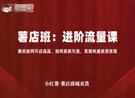 小红薯薯店商城卖货，进阶流量课，教你如何开店选品、如何系统引流，实现快速卖货变现-星云网创
