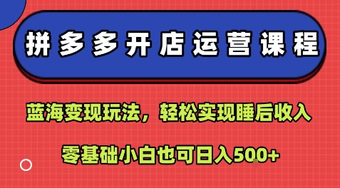 拼多多开店运营课程：蓝海变现玩法，轻松实现睡后收入，零基础小白也可日入5张-星云网创