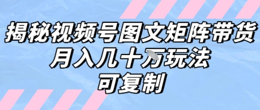 解密视频号图文矩阵带货，月入几个W的打法，可复制-星云网创