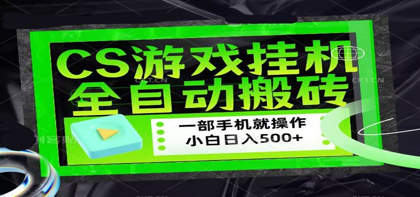 CSGO游戏挂机捡漏搬砖，超稳定的项目，带领1000+小白实现日入500+-星云网创