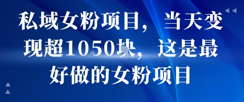 私域女粉项目，当天变现超1k，这是最好做的女粉项目，可放大操作-星云网创