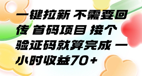 一键拉新 不需要回传 首码项目 接个验证码就算完成 一小时收益70+【揭秘】-星云网创