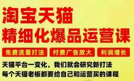 淘宝天猫精细化爆品运营课，免费流量打法-付费广告放大-利润增长-三大核心痛点，一次全部解决-星云网创