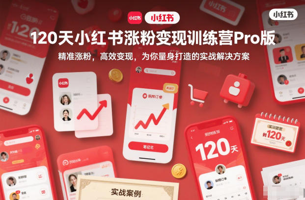 120天小红书涨粉变现训练营Pro版，精准涨粉，高效变现，为你量身打造的实战解决方案-翻身路网创