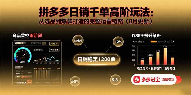 拼多多日销千单高阶玩法：从选品到爆款打造的完整运营链路(8月更新-星云网创